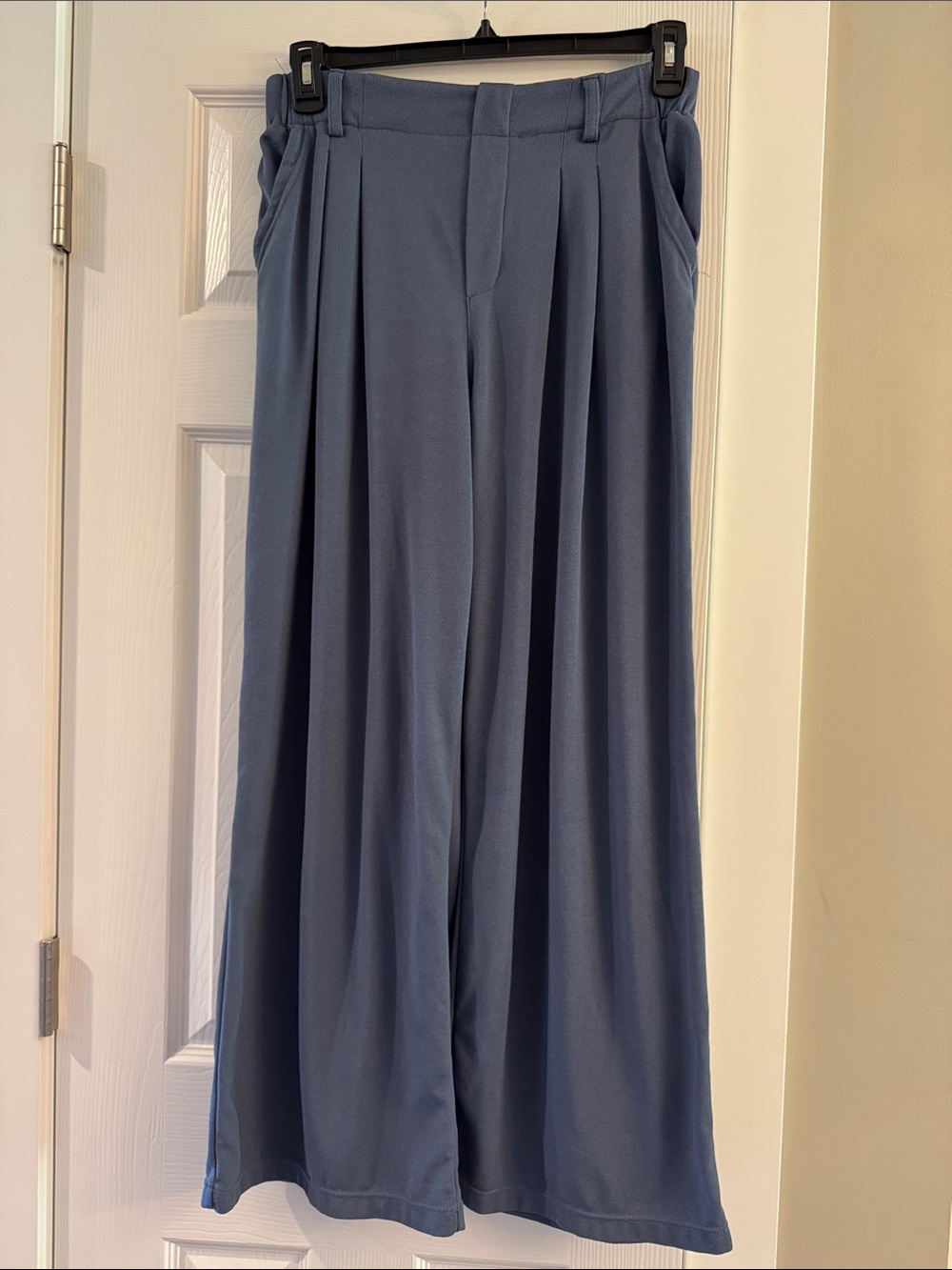 HALARA Pleated Wide-Leg Pants in Dusty Blue/Gray, Like New